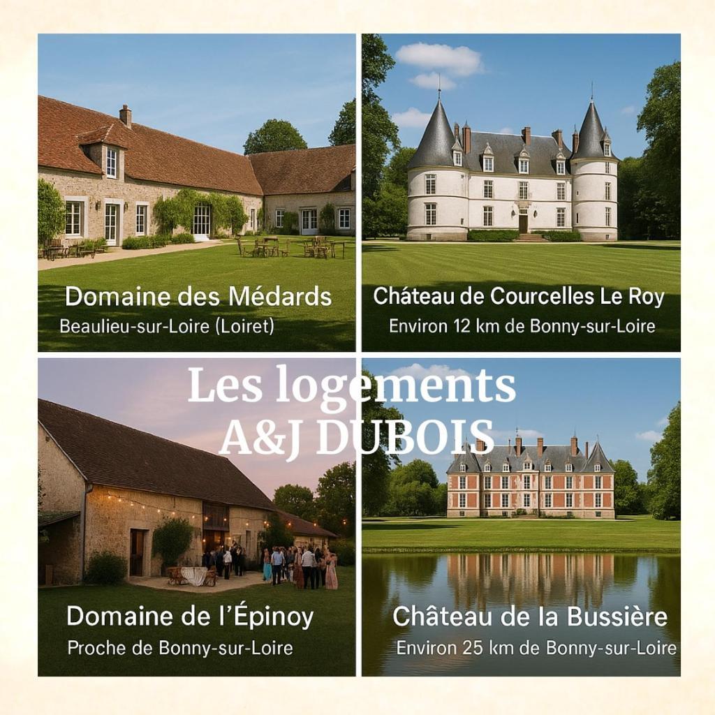 A&Jduplex - Bonny Sur Loire - Chateaux De Guedelon - Pont Canal ภายนอก รูปภาพ